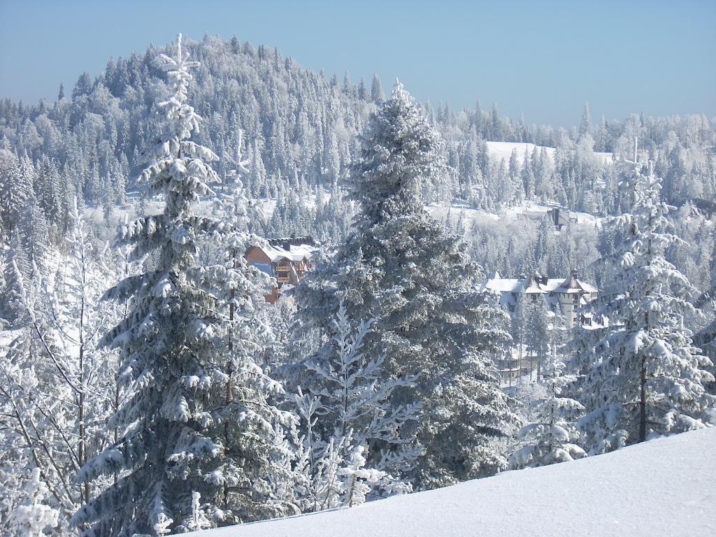 Apartmani Marija Jahorina Oda fotoğraf