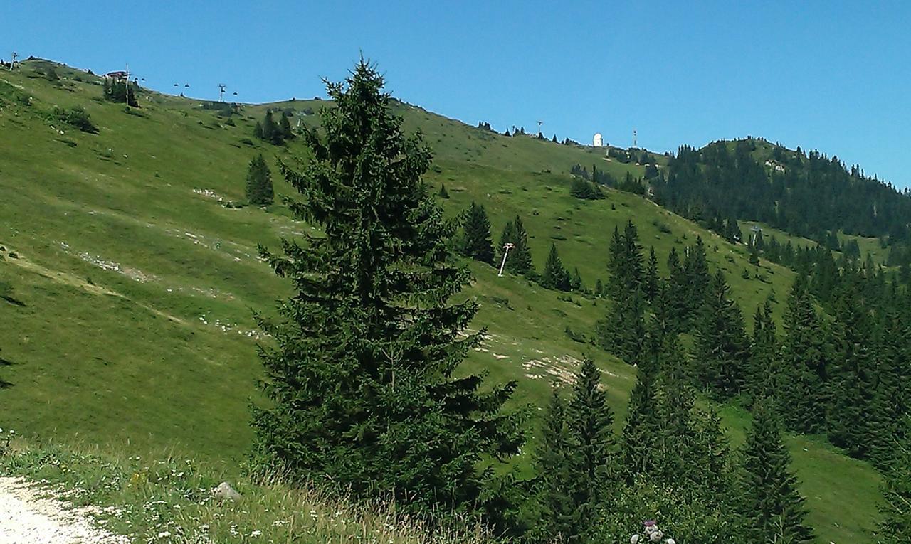 Apartmani Marija Jahorina Dış mekan fotoğraf